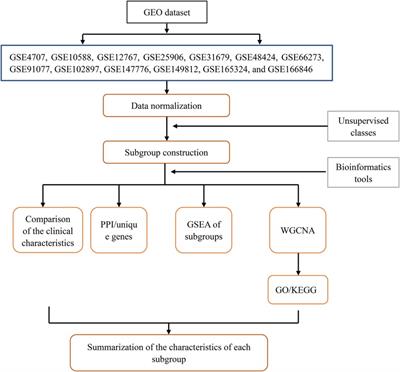 Identifying molecular subgroups of patients with preeclampsia through bioinformatics